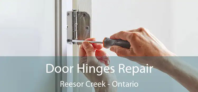 Door Hinges Repair Reesor Creek - Ontario