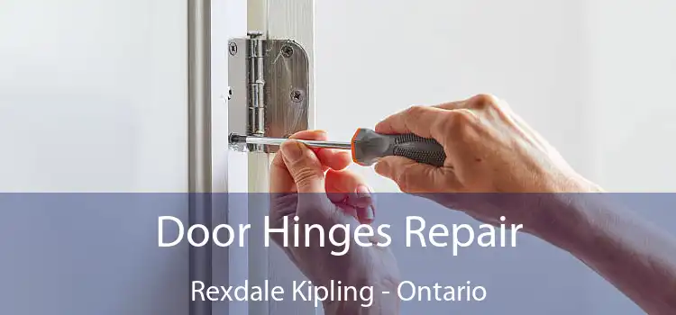 Door Hinges Repair Rexdale Kipling - Ontario