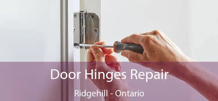 Door Hinges Repair Ridgehill - Ontario