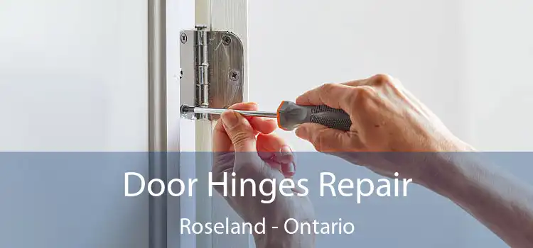 Door Hinges Repair Roseland - Ontario