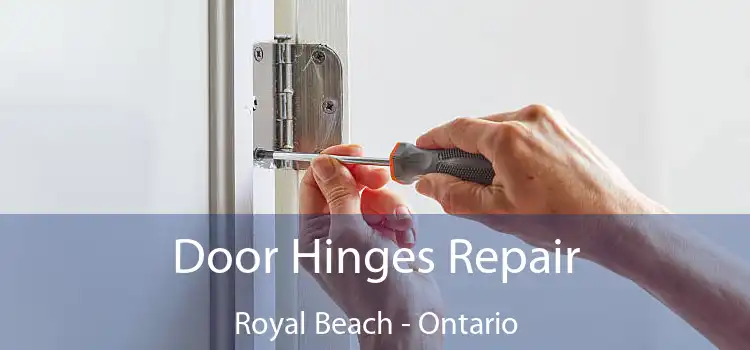 Door Hinges Repair Royal Beach - Ontario