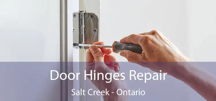 Door Hinges Repair Salt Creek - Ontario