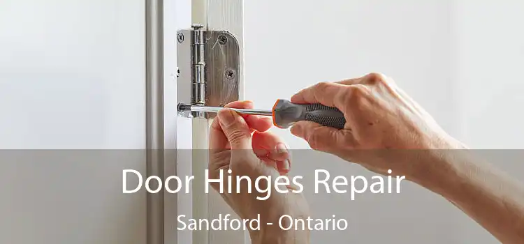 Door Hinges Repair Sandford - Ontario