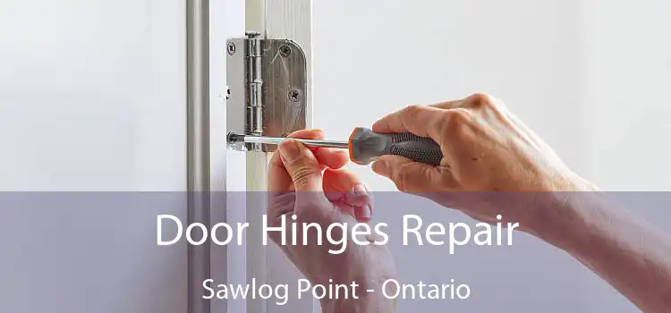 Door Hinges Repair Sawlog Point - Ontario