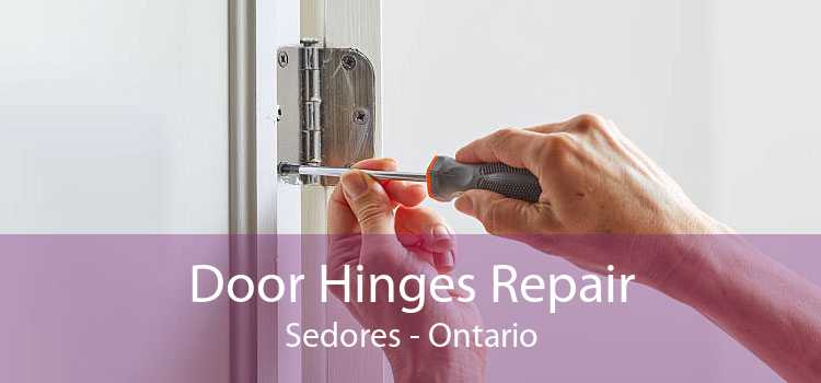 Door Hinges Repair Sedores - Ontario