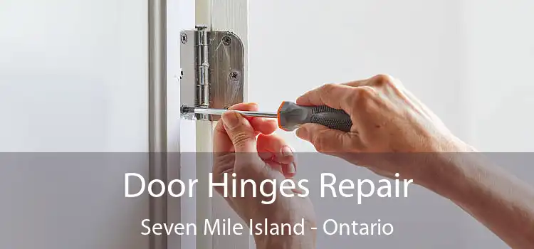 Door Hinges Repair Seven Mile Island - Ontario
