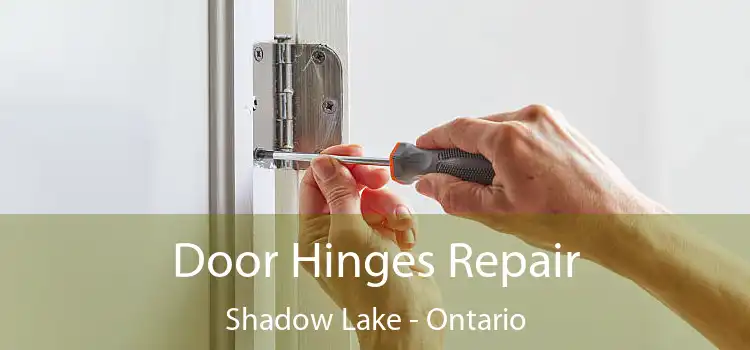 Door Hinges Repair Shadow Lake - Ontario