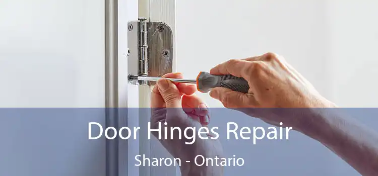 Door Hinges Repair Sharon - Ontario