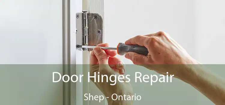 Door Hinges Repair Shep - Ontario