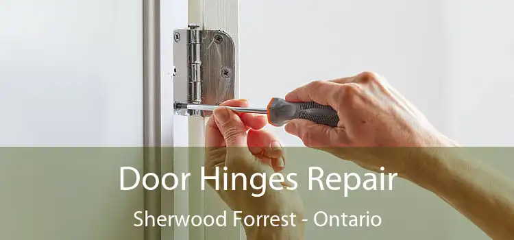 Door Hinges Repair Sherwood Forrest - Ontario