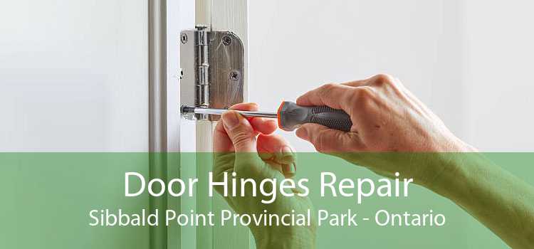 Door Hinges Repair Sibbald Point Provincial Park - Ontario