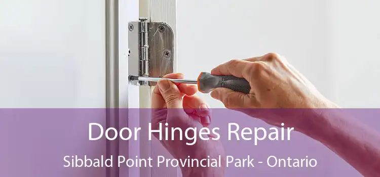 Door Hinges Repair Sibbald Point Provincial Park - Ontario
