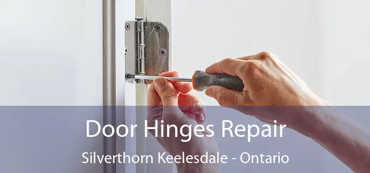 Door Hinges Repair Silverthorn Keelesdale - Ontario