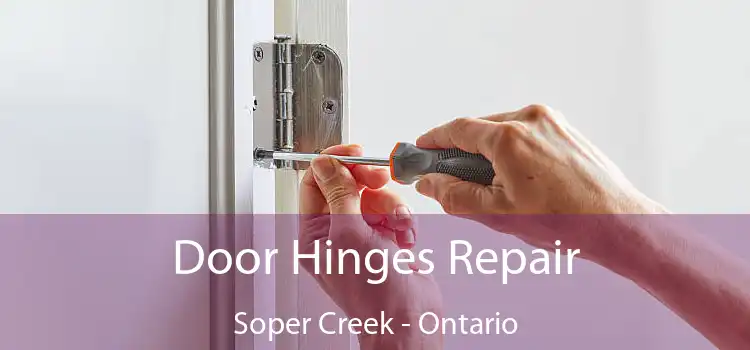 Door Hinges Repair Soper Creek - Ontario