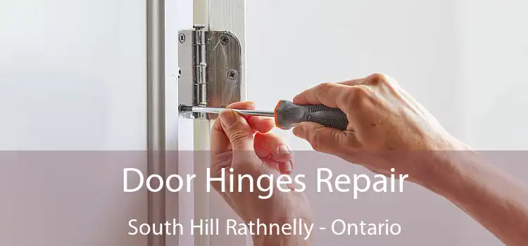 Door Hinges Repair South Hill Rathnelly - Ontario