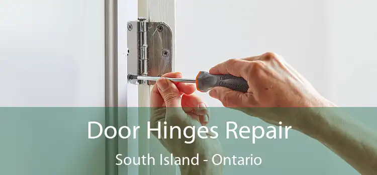 Door Hinges Repair South Island - Ontario