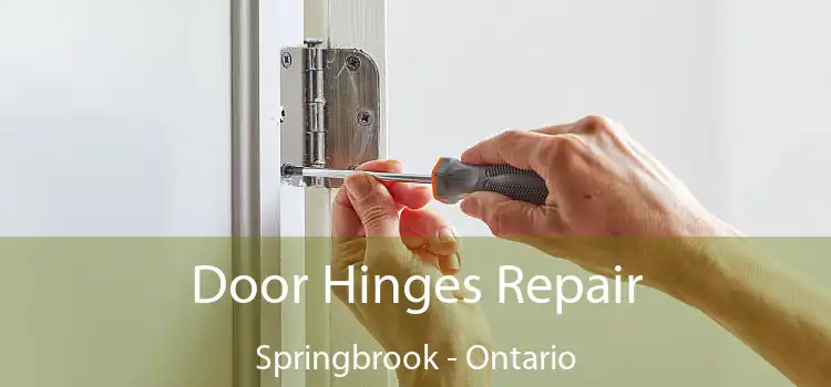 Door Hinges Repair Springbrook - Ontario