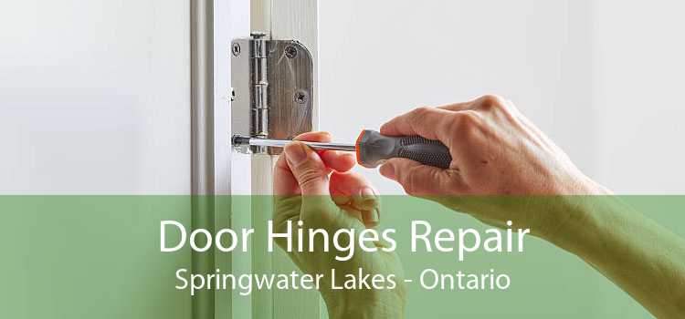 Door Hinges Repair Springwater Lakes - Ontario