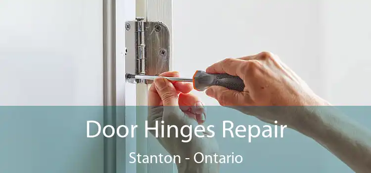 Door Hinges Repair Stanton - Ontario