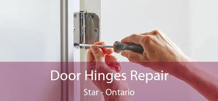 Door Hinges Repair Star - Ontario