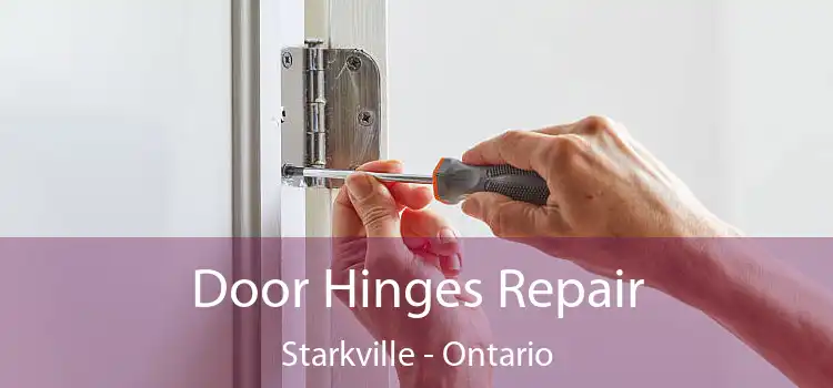 Door Hinges Repair Starkville - Ontario