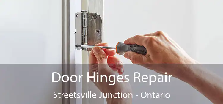 Door Hinges Repair Streetsville Junction - Ontario