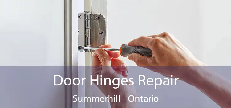 Door Hinges Repair Summerhill - Ontario