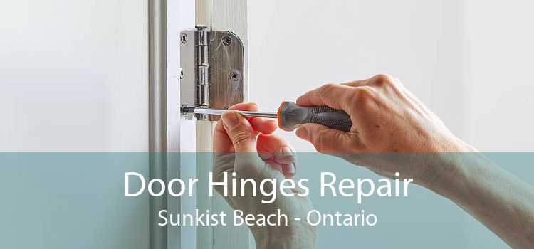 Door Hinges Repair Sunkist Beach - Ontario