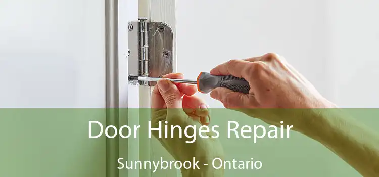 Door Hinges Repair Sunnybrook - Ontario