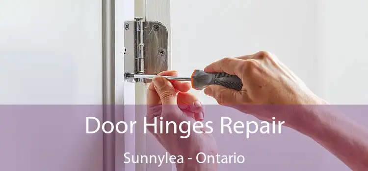 Door Hinges Repair Sunnylea - Ontario