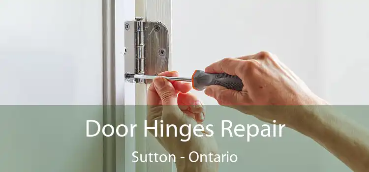 Door Hinges Repair Sutton - Ontario