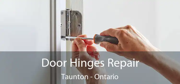 Door Hinges Repair Taunton - Ontario