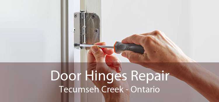 Door Hinges Repair Tecumseh Creek - Ontario