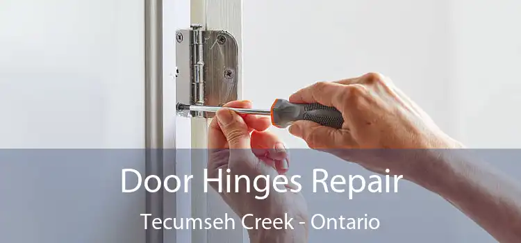 Door Hinges Repair Tecumseh Creek - Ontario