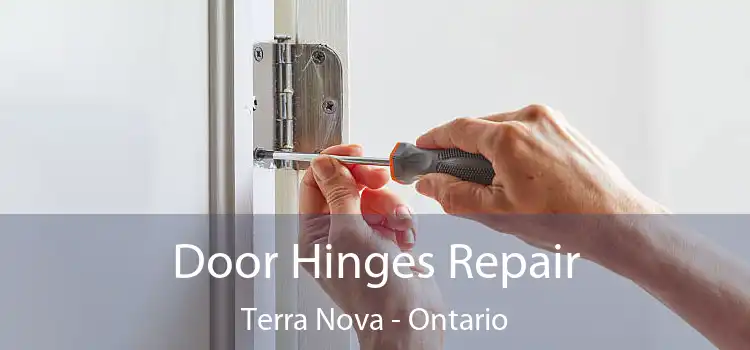 Door Hinges Repair Terra Nova - Ontario