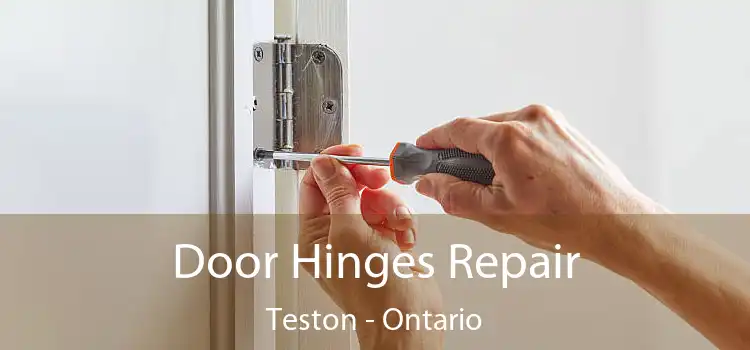 Door Hinges Repair Teston - Ontario