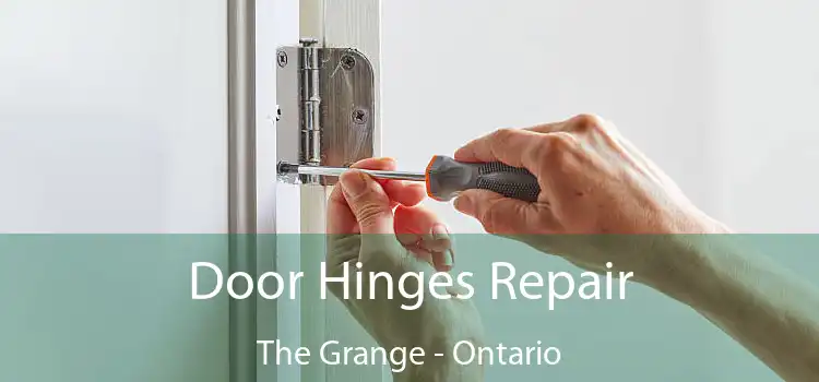 Door Hinges Repair The Grange - Ontario