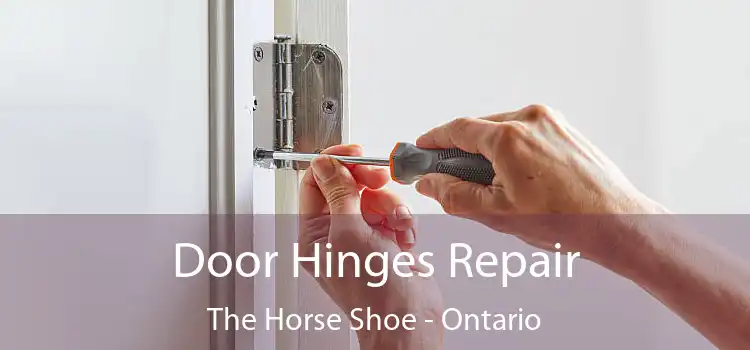 Door Hinges Repair The Horse Shoe - Ontario