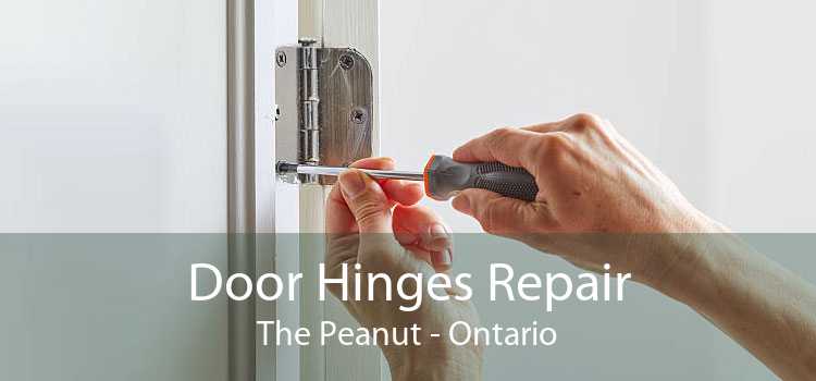 Door Hinges Repair The Peanut - Ontario