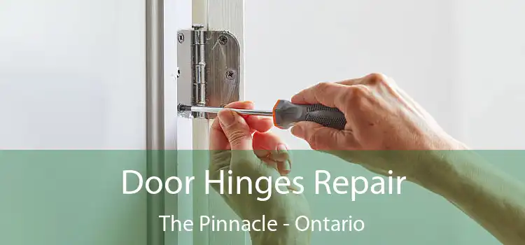 Door Hinges Repair The Pinnacle - Ontario
