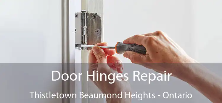 Door Hinges Repair Thistletown Beaumond Heights - Ontario