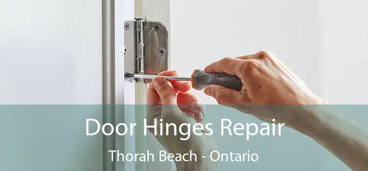 Door Hinges Repair Thorah Beach - Ontario