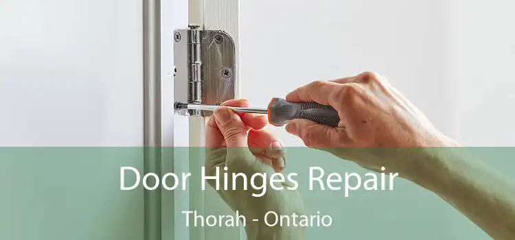 Door Hinges Repair Thorah - Ontario