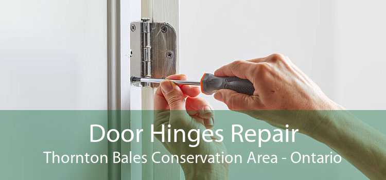 Door Hinges Repair Thornton Bales Conservation Area - Ontario