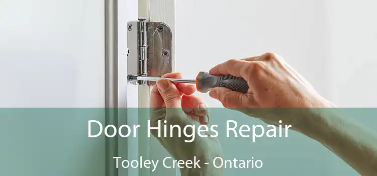 Door Hinges Repair Tooley Creek - Ontario