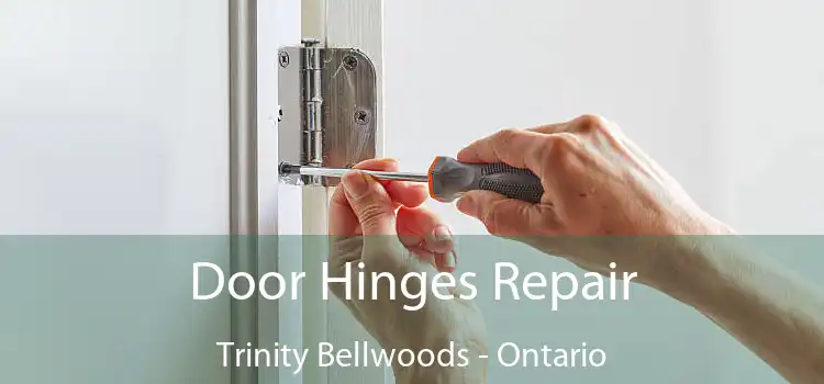 Door Hinges Repair Trinity Bellwoods - Ontario