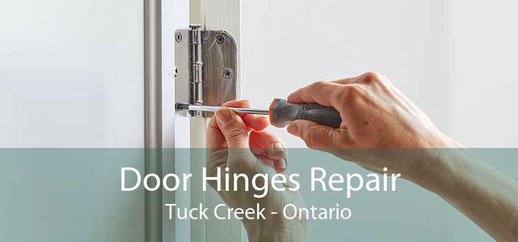 Door Hinges Repair Tuck Creek - Ontario