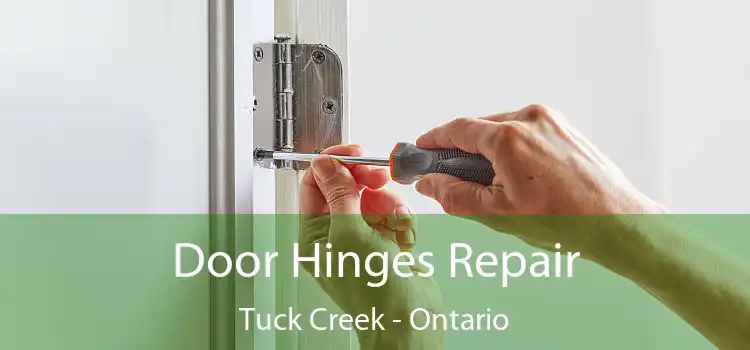 Door Hinges Repair Tuck Creek - Ontario