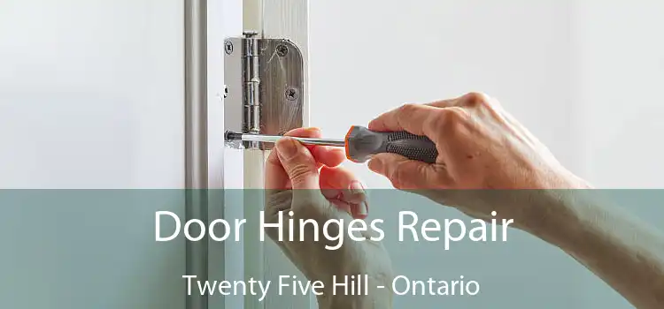 Door Hinges Repair Twenty Five Hill - Ontario