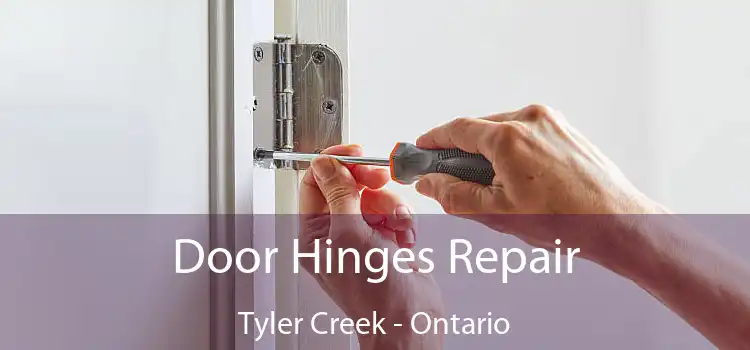 Door Hinges Repair Tyler Creek - Ontario
